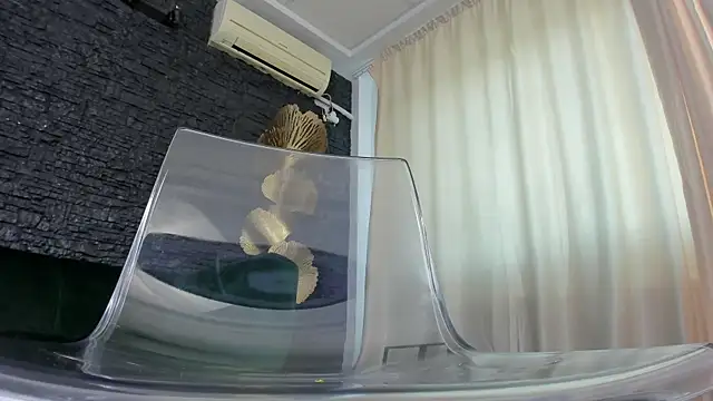 video cam chat Layla Snowflake