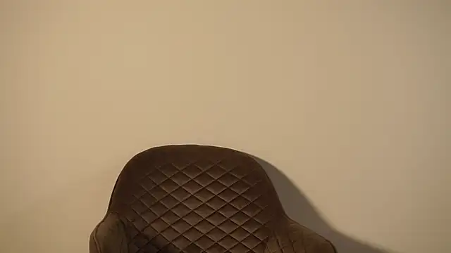 EdlinCady webcam