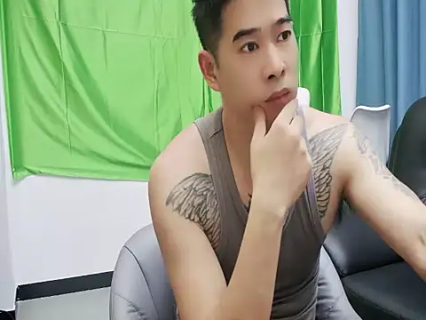 saigege webcam