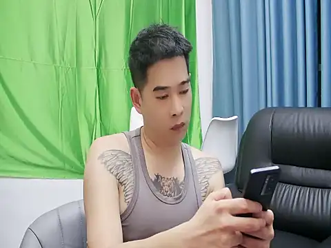 saigege webcam