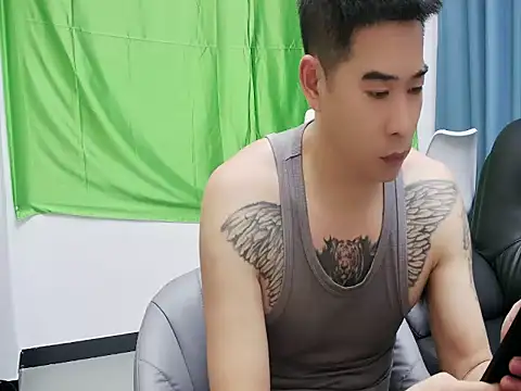 saigege webcam