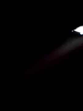 narcismarcu11 webcam
