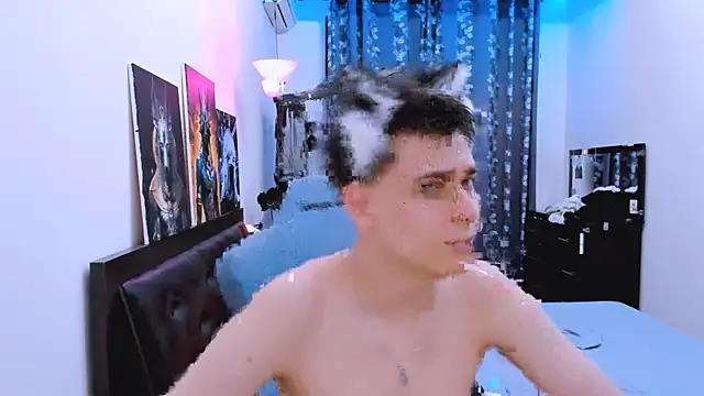 Foxicfu webcam