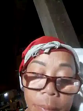VangLe73 webcam