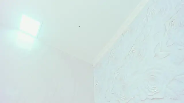Cleopatra_Trans webcam