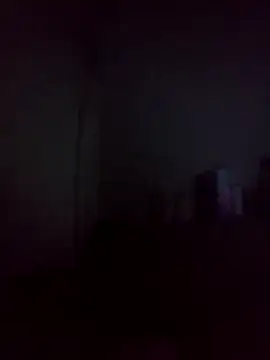 Duliemun