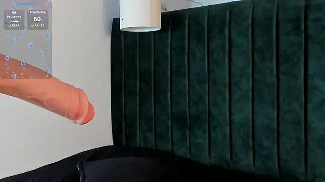 Ale_stud webcam