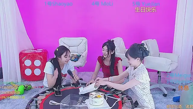 YY2222 webcam