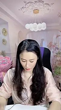 hzq1934 webcam