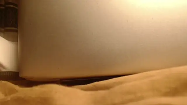 titi_fiesta webcam