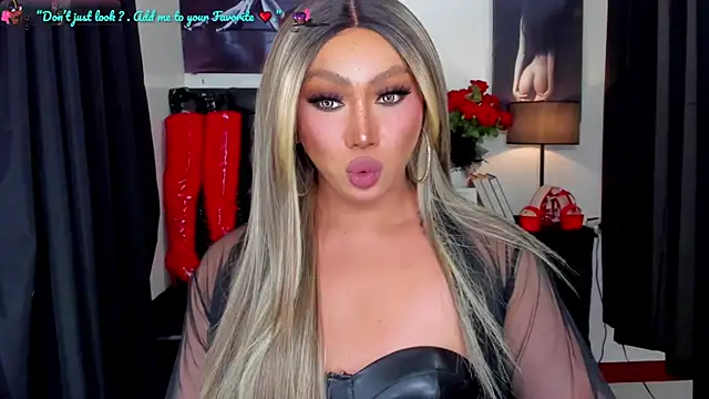 Madisonwill webcam