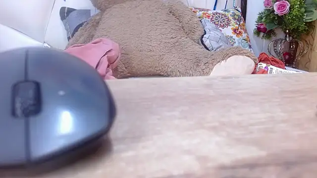 Madison_Copers webcam