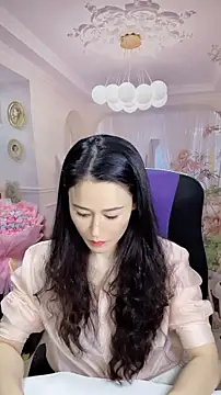 hzq1934 webcam