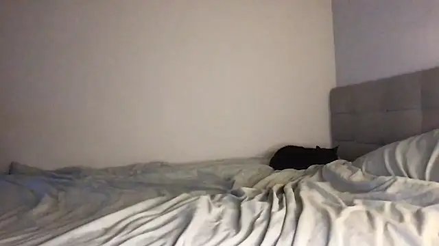 shyskyexo webcam