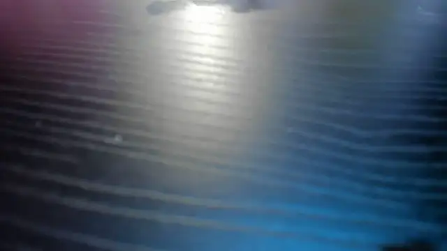 LisbethQueen webcam