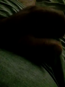 bullut06 webcam