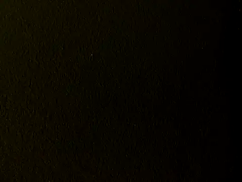 Audrey_hotty webcam