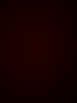 Luna_20x webcam
