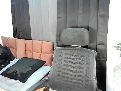 Bigtransss webcam