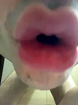 hornyboy739 webcam