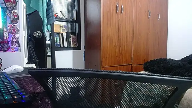 esjrobles webcam