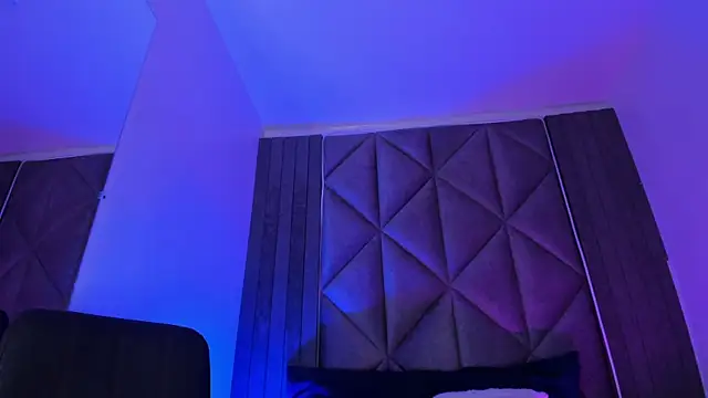 ParisFox_ webcam