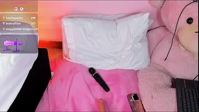 SofiaLynx_ webcam