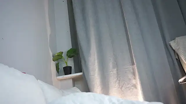 PetulaDry webcam