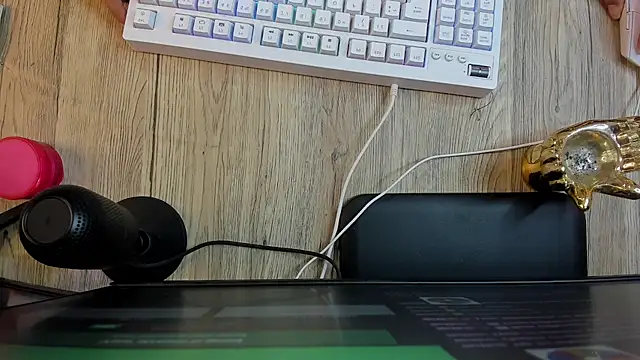 boy_master77 webcam
