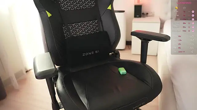 BestExtreme webcam