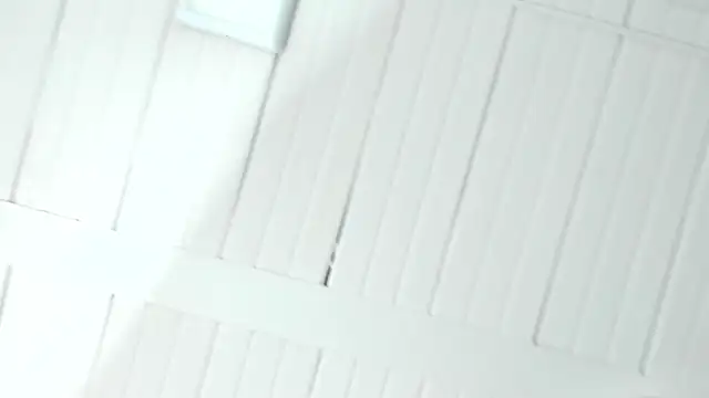 dani_dick_ webcam