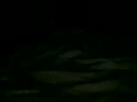 savadika69 webcam