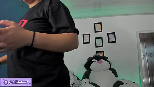 milita_houston webcam