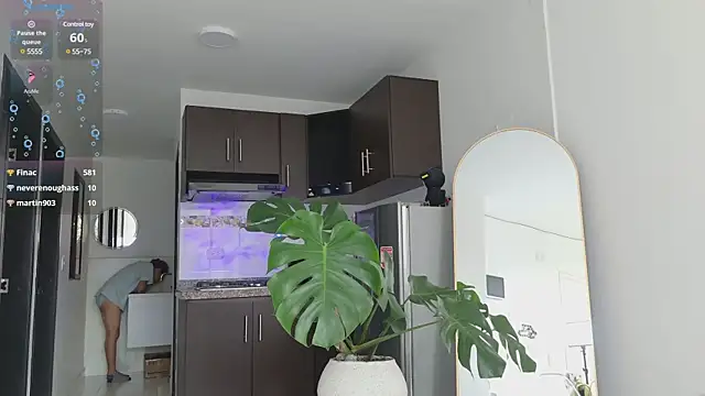 grey___27 webcam