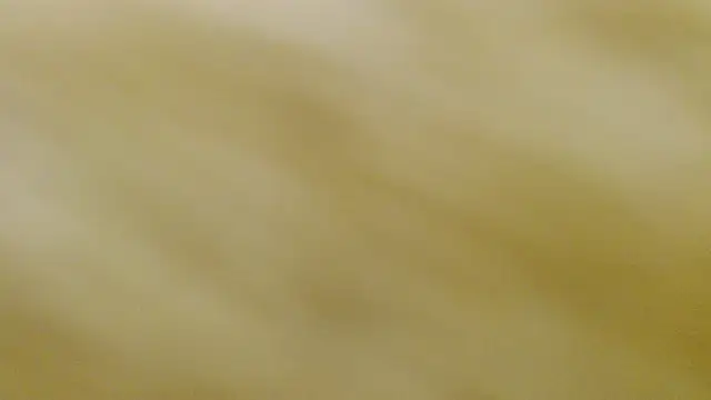 sussy_leon webcam