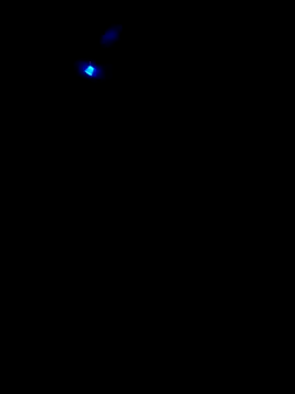Jasmin_RJ webcam