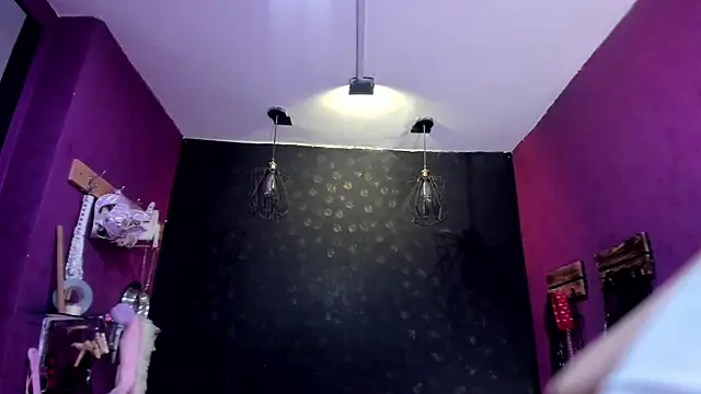 Alexa_Slave webcam