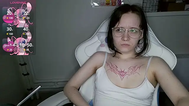 crashtest_13 webcam