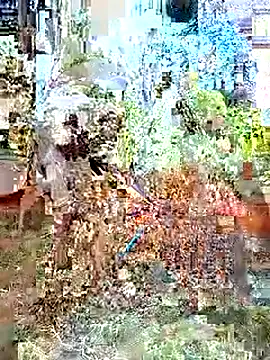 Biknight webcam