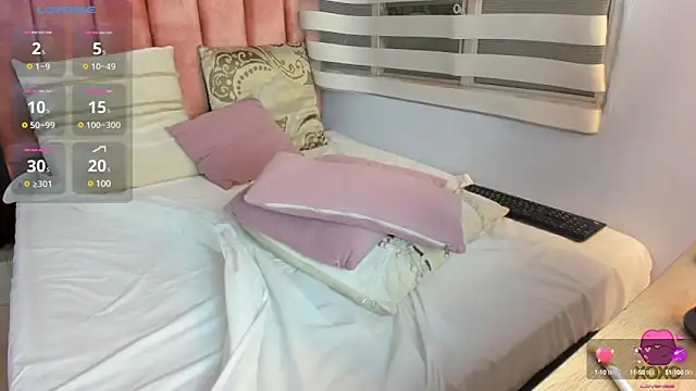 lou_rosse_ webcam