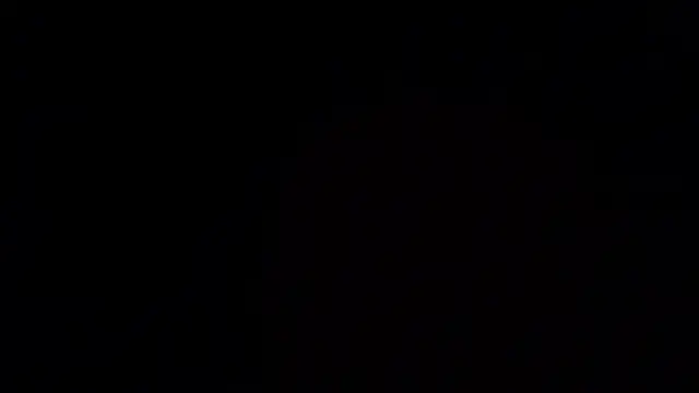 Kyra_Honey
