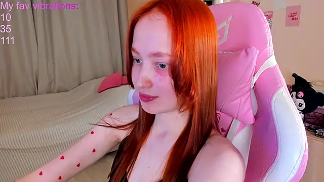 Hakory webcam