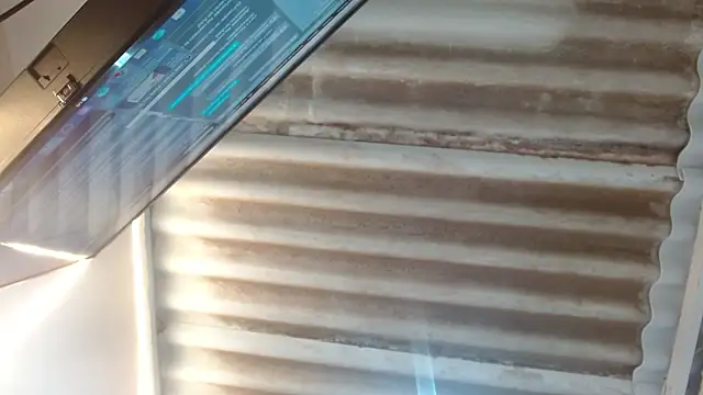 any_rebels webcam
