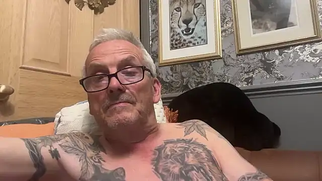 poggles webcam