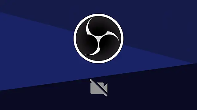 LackyPaw webcam