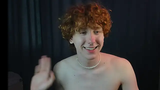 Tomas_ronn webcam