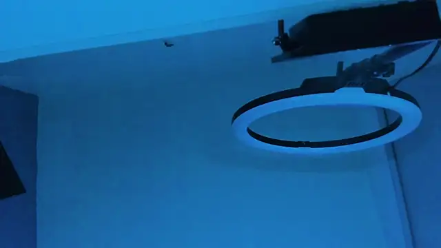 Stivarfox21 webcam