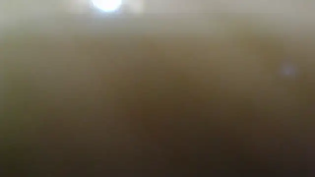 nicebrown webcam