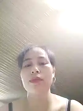 Lee-Nguyen webcam