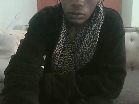 RazSAM webcam